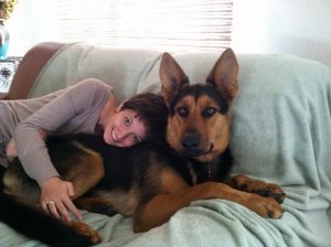 1 Year Old German Shepherd Behavior