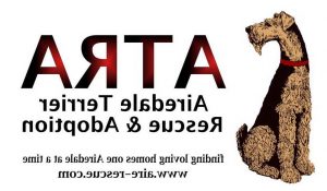 Airedale Terrier Rescue Colorado