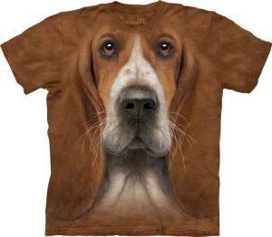 Basset Hound Accessories