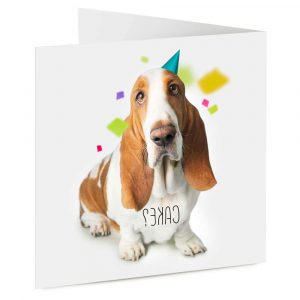 Basset Hound Cards