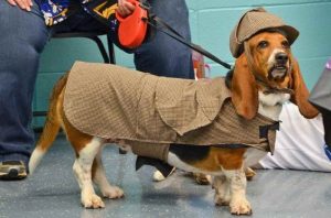 Basset Hound Costumes