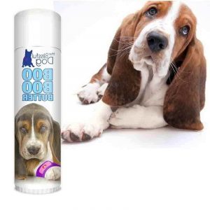 Basset Hound Itchy Skin