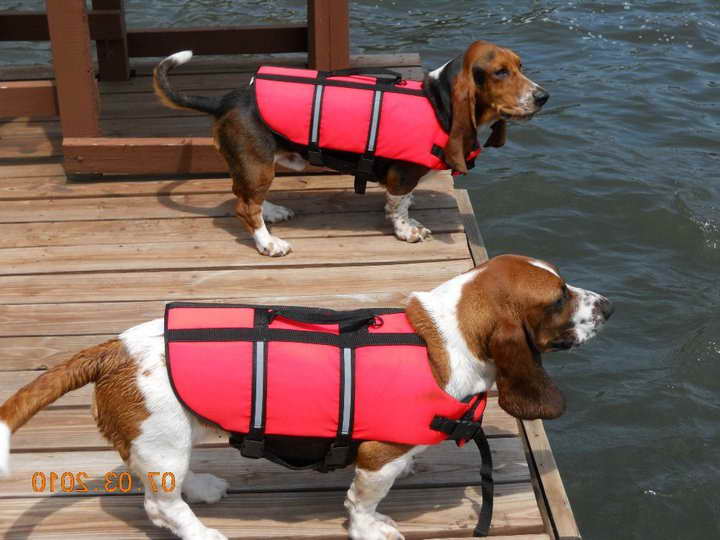 Basset Hound Life Jacket PETSIDI