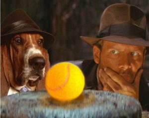 Basset Hound Movies