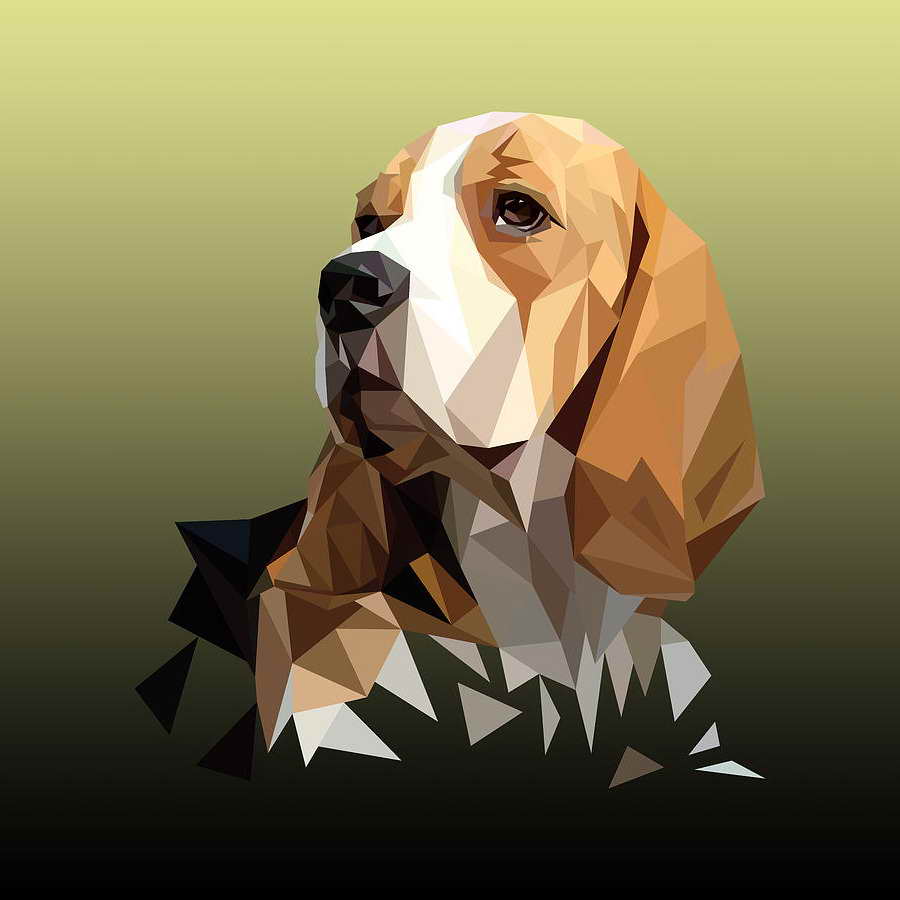 Beagle Art