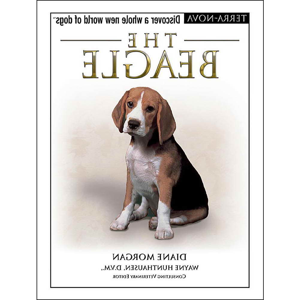 Beagle Book