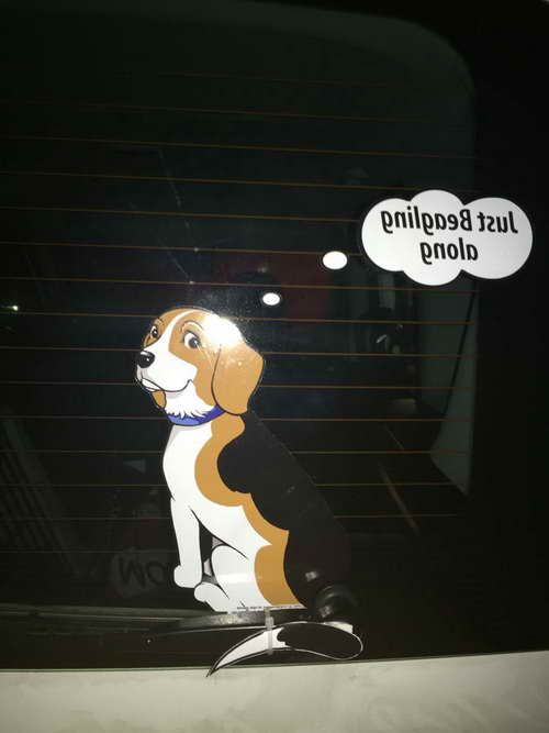 Beagle Bumper Stickers