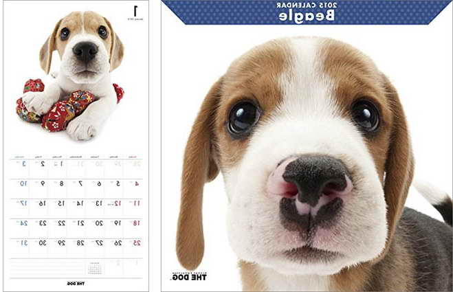 Beagle Calendar