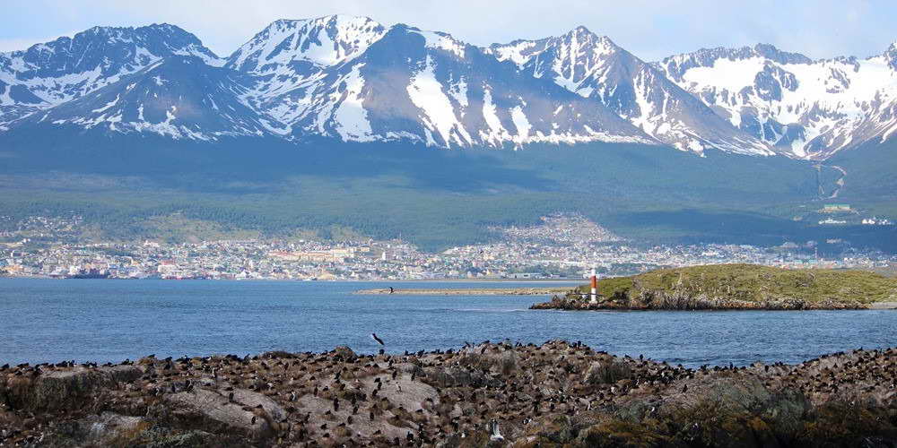 Beagle Channel Cruise