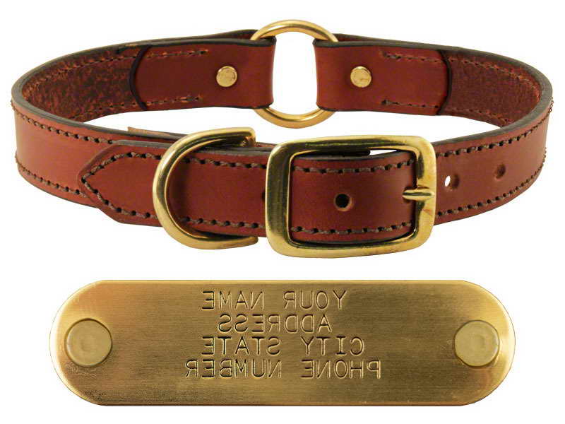 Beagle Collars With Name Plates