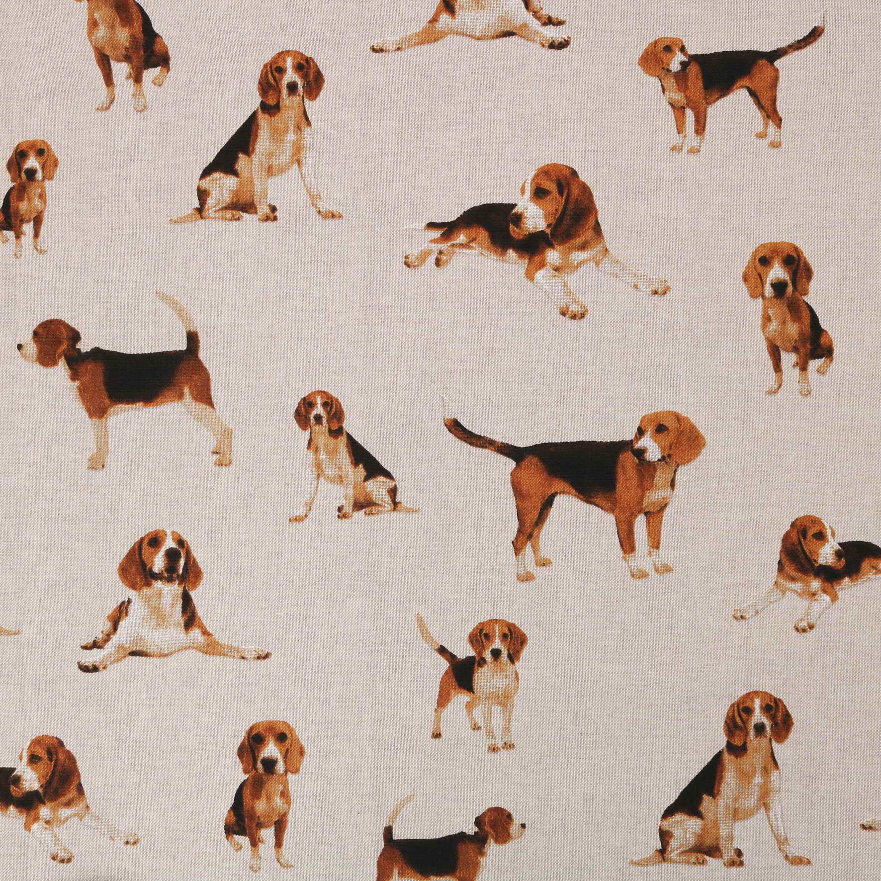 Beagle Fabric