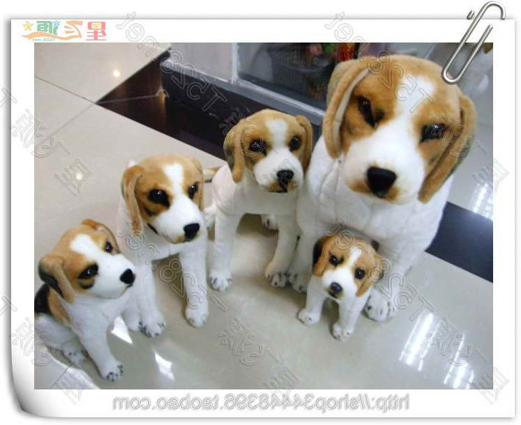 Beagle Toy Dog