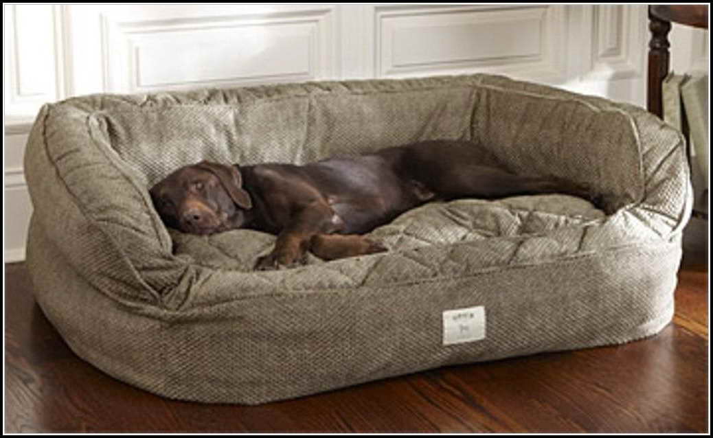 Best Bed For Great Dane