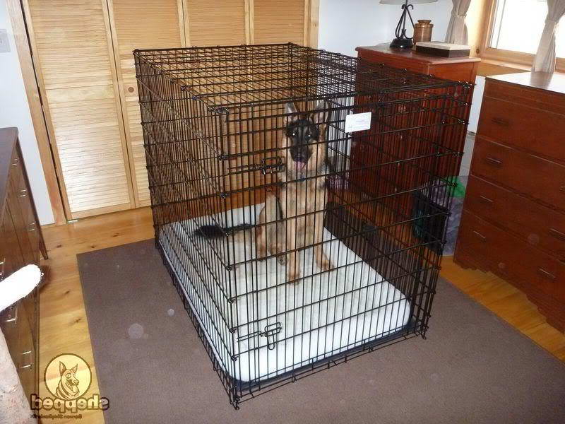 Best Dog Crate For German Shepherd