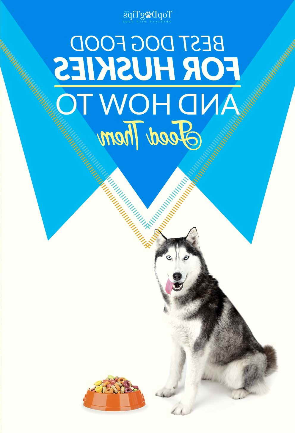 Best Dog Food Brand For Siberian Husky PETSIDI