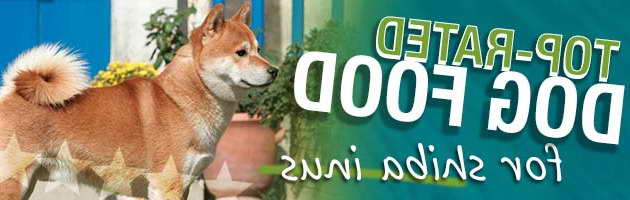 Best Dog Food For Shiba Inu