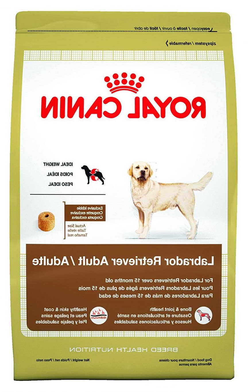Best Dry Dog Food For Labrador Retrievers