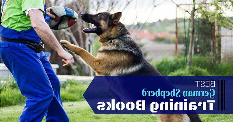 Best German Shepherd Training Book