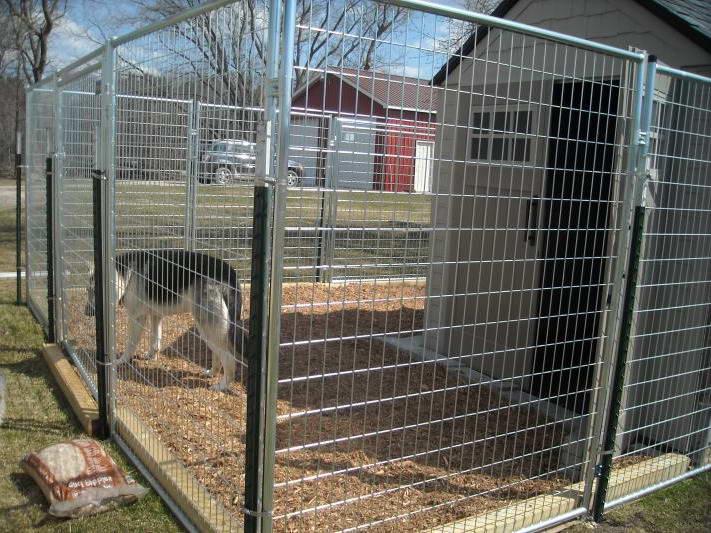 Best Kennel For German Shepherd