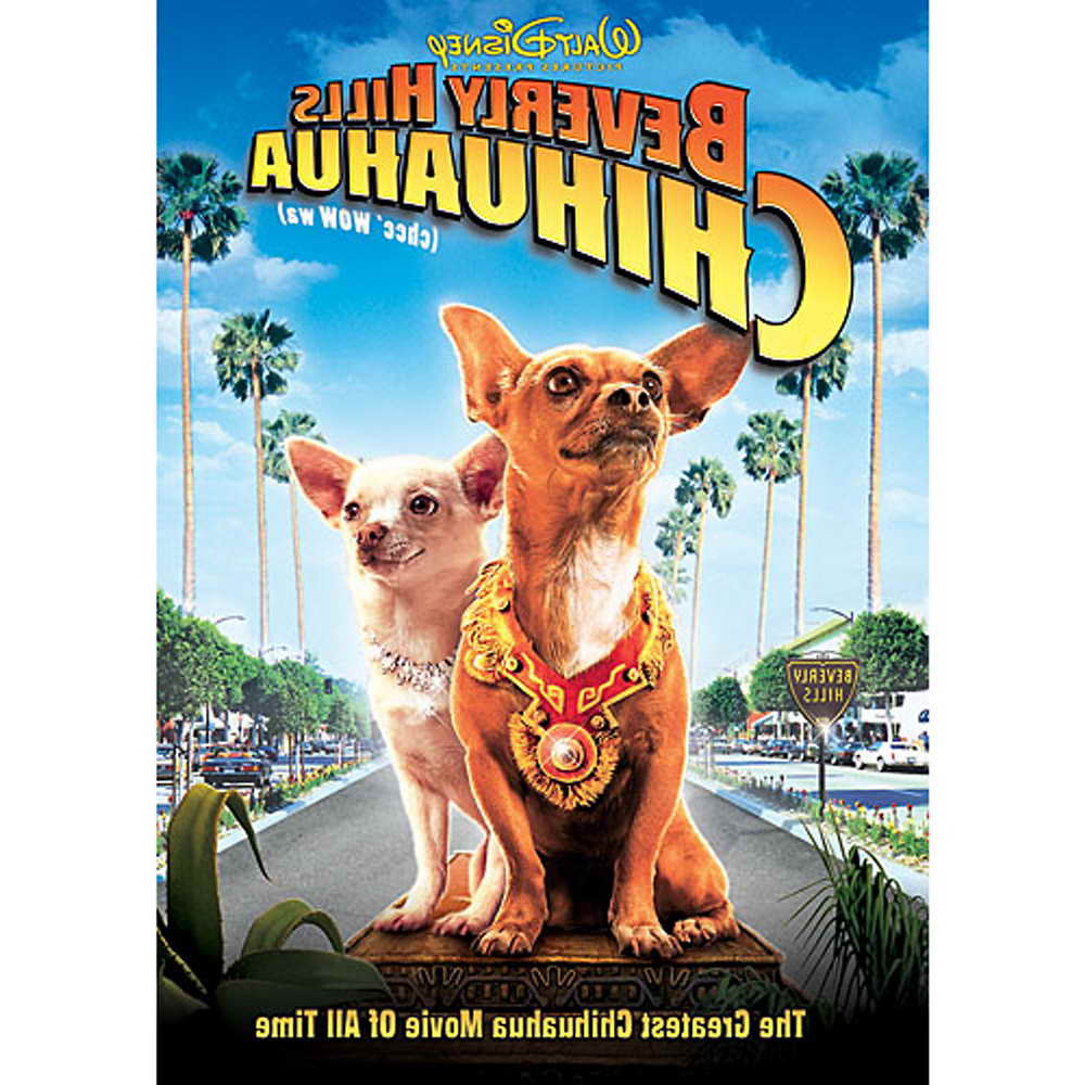 Beverly Hills Chihuahua 1 Full Movie | PETSIDI