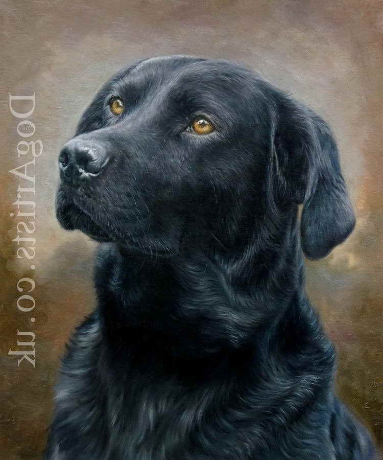 Black Labrador Paintings