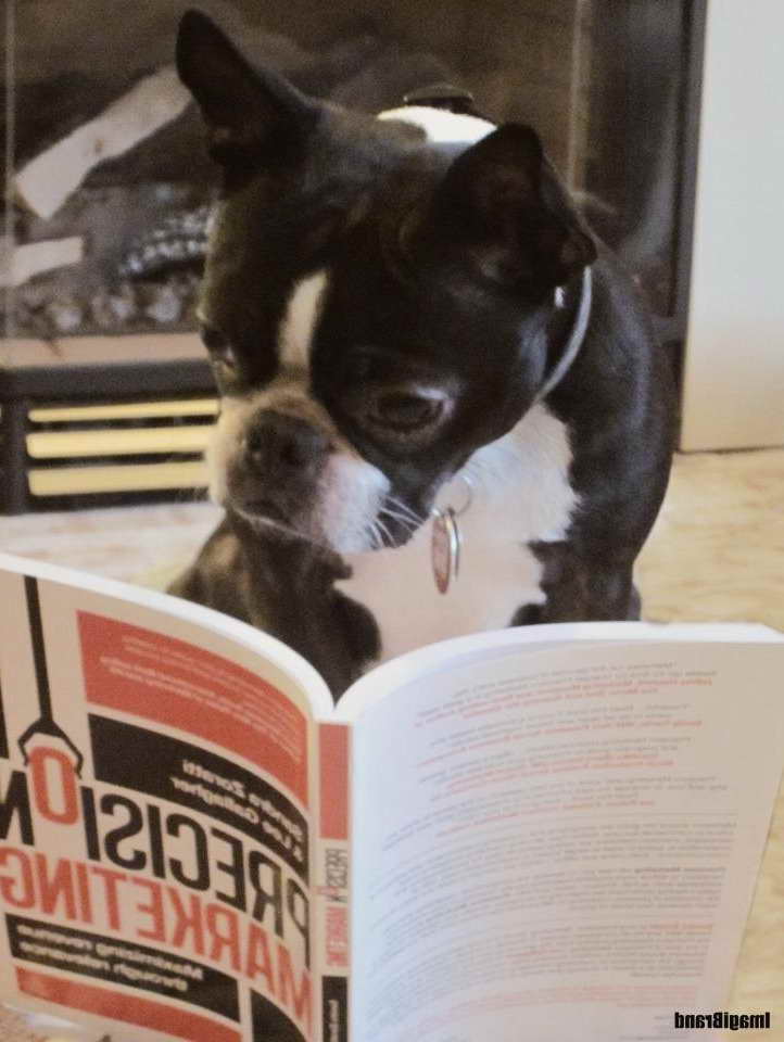 Boston Terrier Book