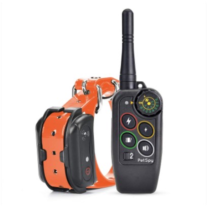 Best Shock Collar For Great Dane