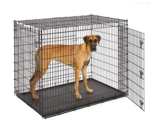 Best Crate For Great Dane