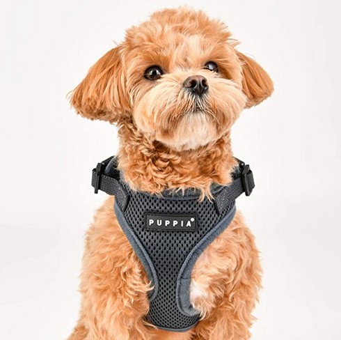 Puppia harness dog