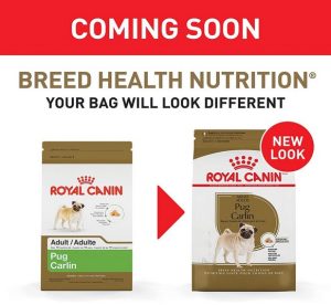 Royal Canin Pug Adult Dry food