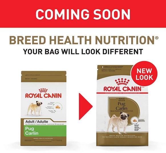 Royal Canin Pug Adult Dry food