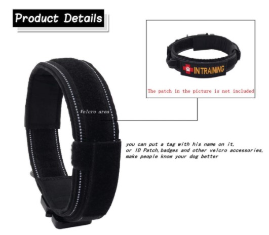 Best Collar For Husky