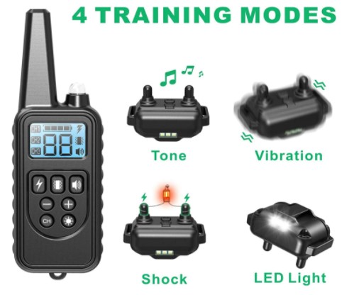 Best Training Collar For Siberian Husky