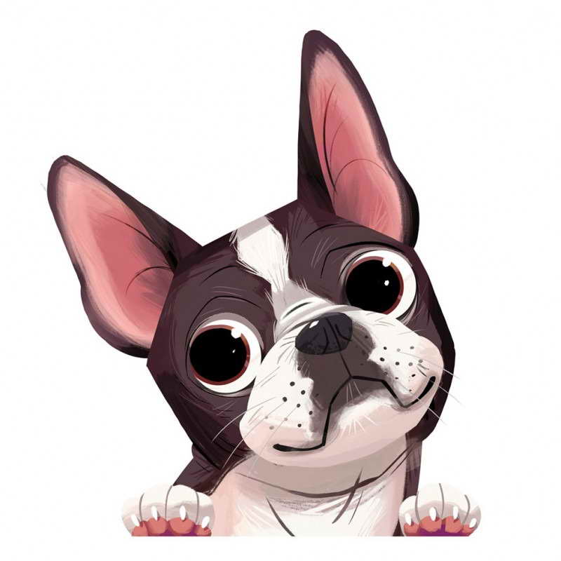 Boston Terrier Decals For Cars