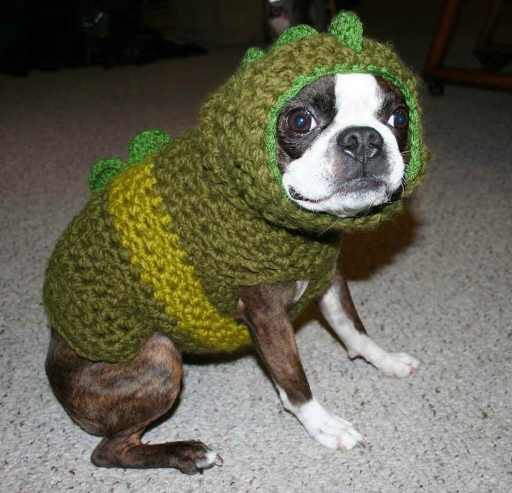 Boston Terrier Dog Sweater