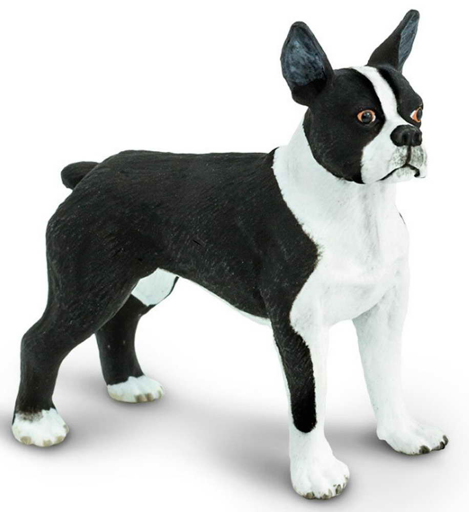 Boston Terrier Figurine