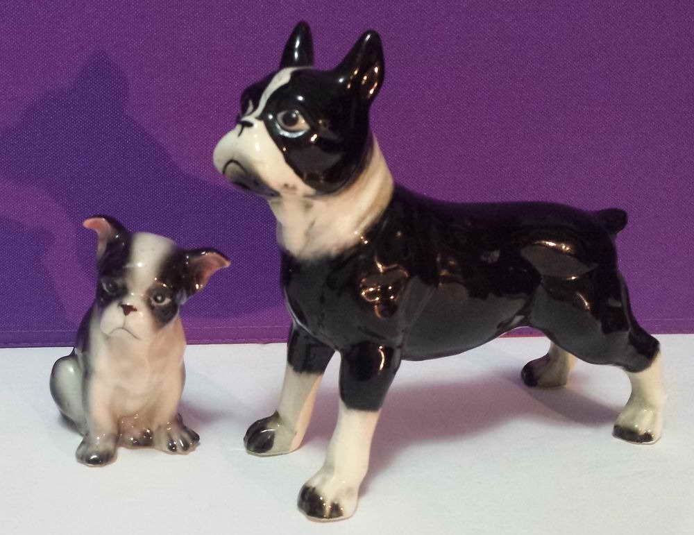 Boston Terrier Items For Sale