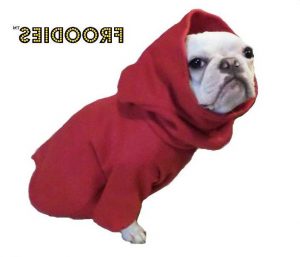 Boston Terrier Jacket