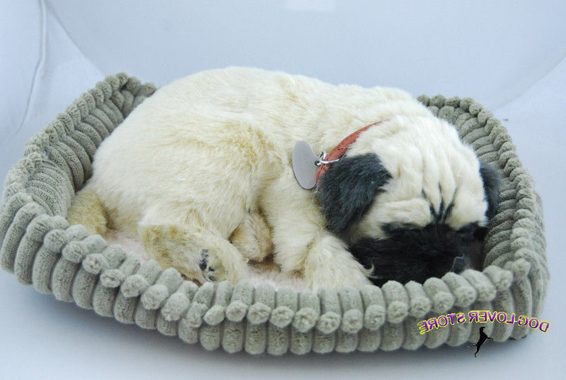 Breathing Pug Toy