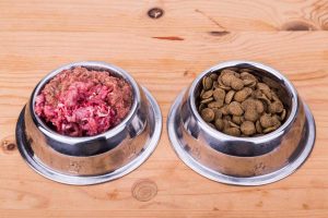 Bull Mastiff Dog Food