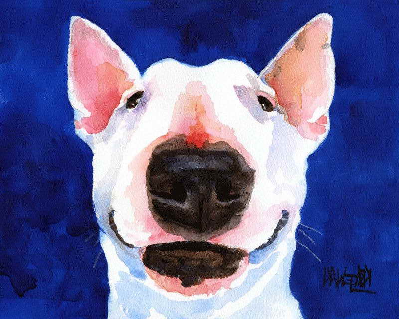 Bull Terrier Paint