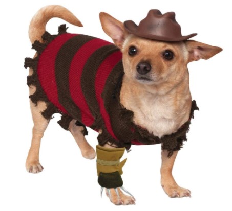 Best Chihuahua Halloween Costumes