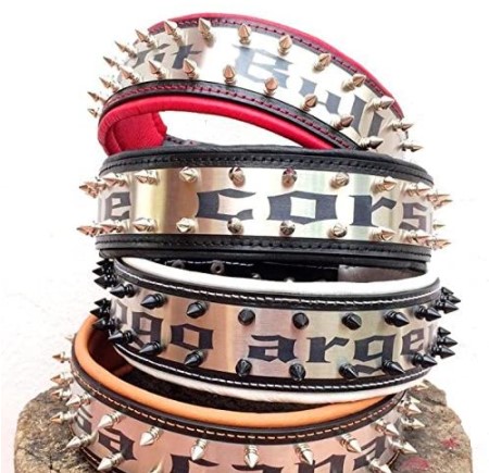 Bestia Bull Terrier Collars