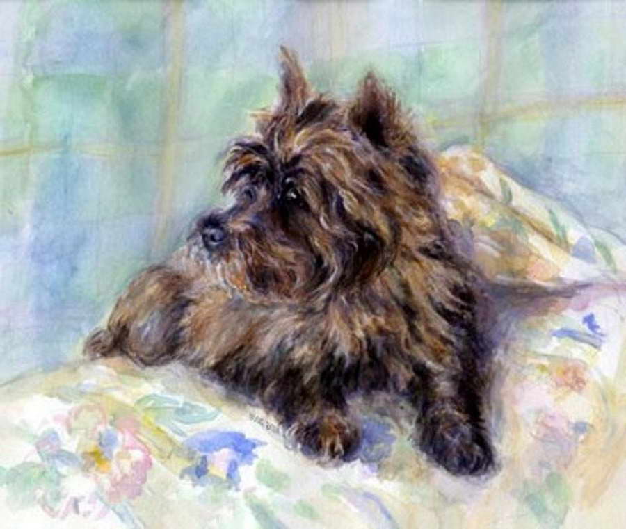Cairn Terrier Painting
