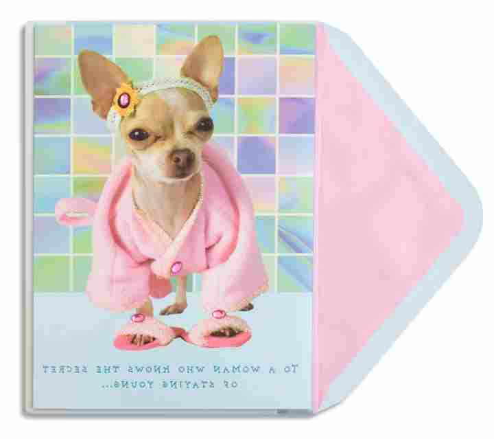 Chihuahua Birthday Cards