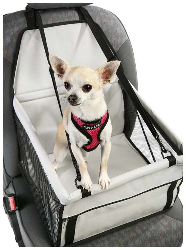 Chihuahua Car Seat