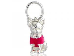 Chihuahua Charm