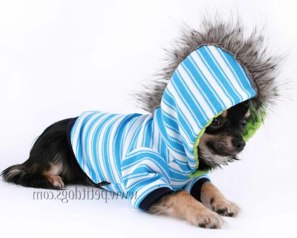 Chihuahua Clothes For Boys