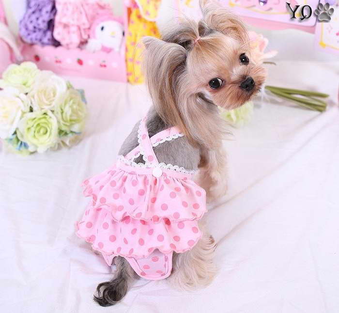 Chihuahua Clothes For Girls