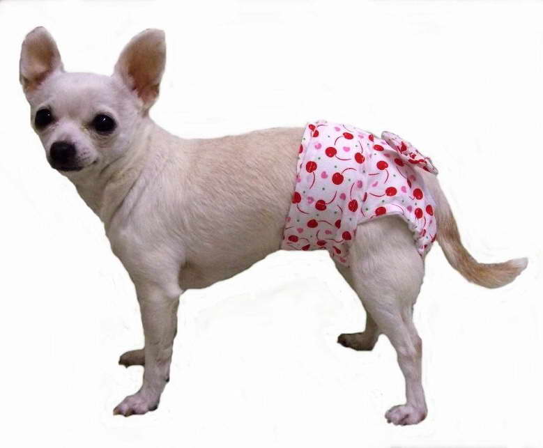 Chihuahua Diapers